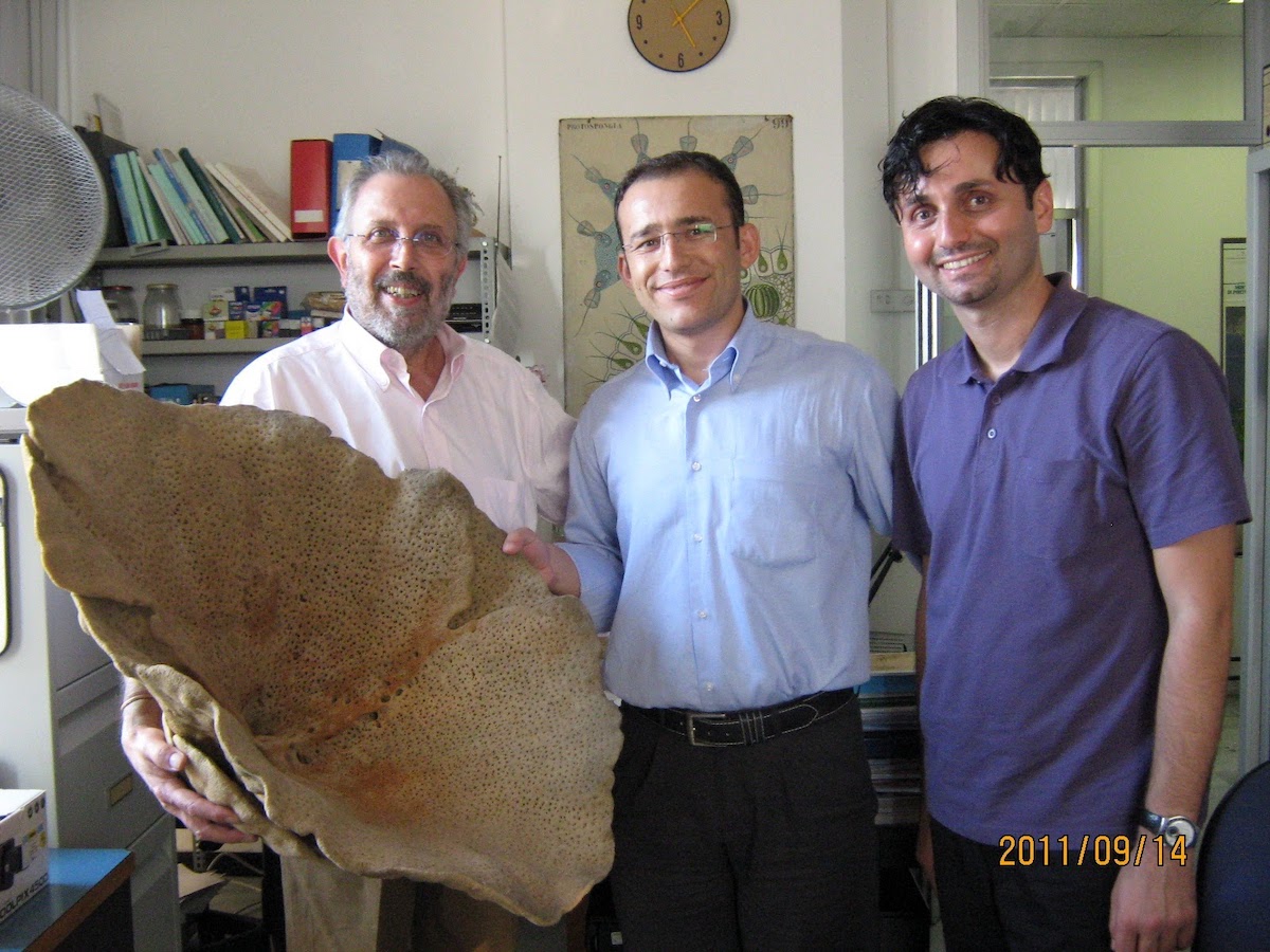 Project Meetings at the University of Genoa